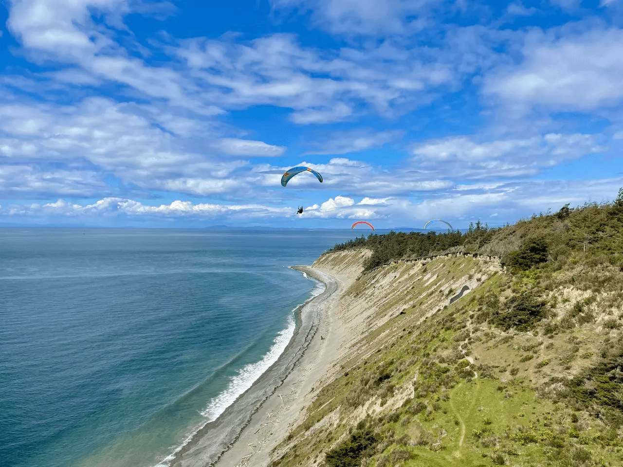 Three paragliders soaring along a forested coastal bluff above a curving beach and open water.